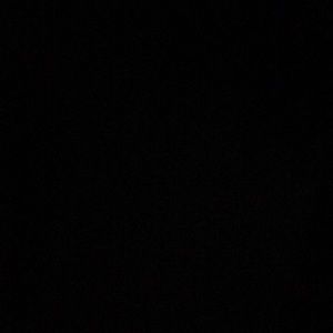 Meet your Posher, Willie